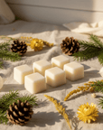 Cubes de cires aromatisés Sapin - Joséphine Co®