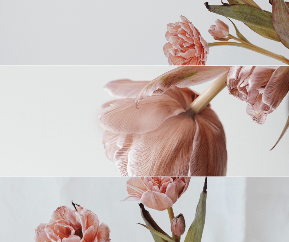Pour Elle - Joséphine Co®